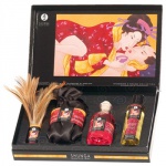 SexShop - Ekskluzywnej jakości olejki erotyczne Shunga - Tenderness & Passion Collection - online
